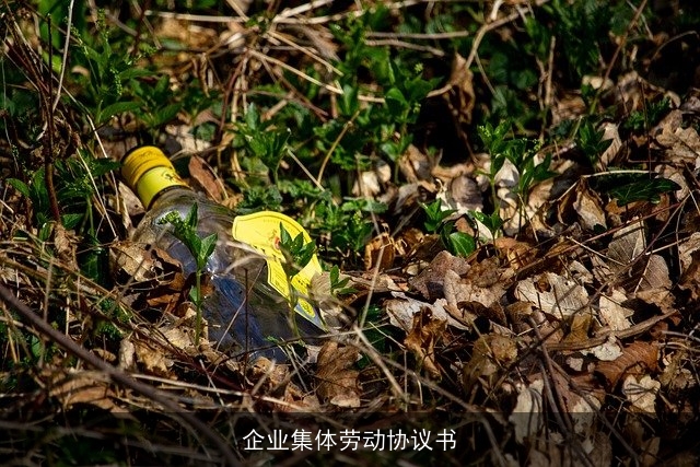 企业集体劳动协议书