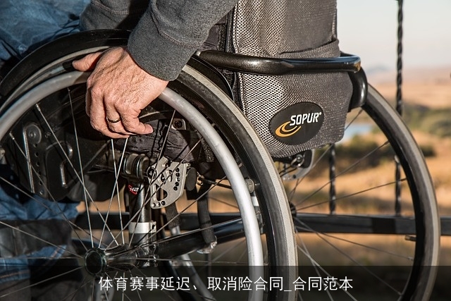 体育赛事延迟、取消险合同_合同范本