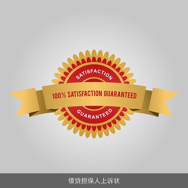 借贷担保人上诉状