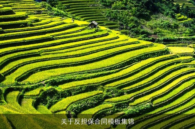 关于反担保合同模板集锦