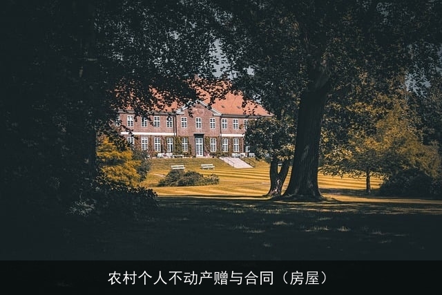 农村个人不动产赠与合同（房屋）