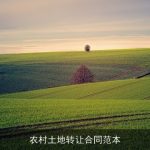 农村土地转让合同范本