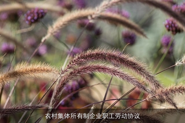 农村集体所有制企业职工劳动协议