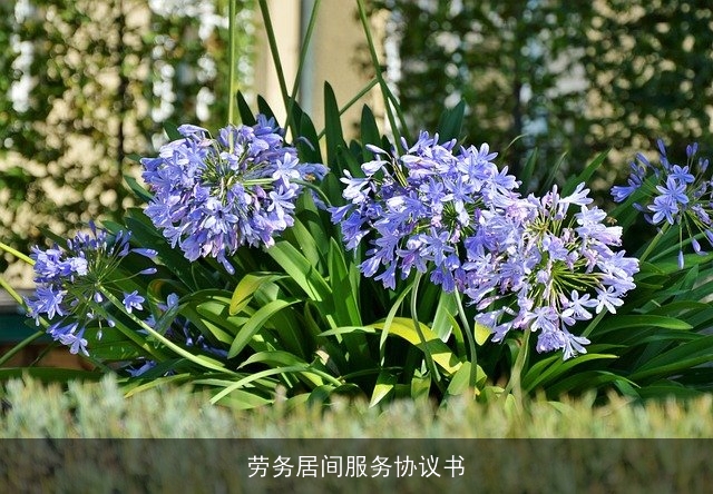 劳务居间服务协议书