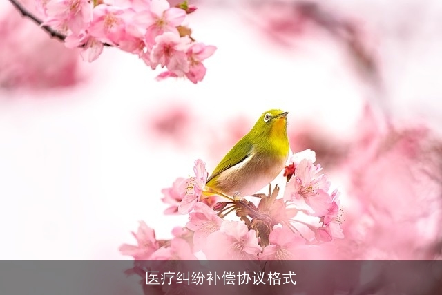 医疗纠纷补偿协议格式