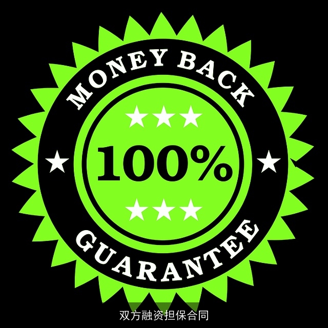 双方融资担保合同