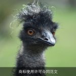商标使用许可合同范文