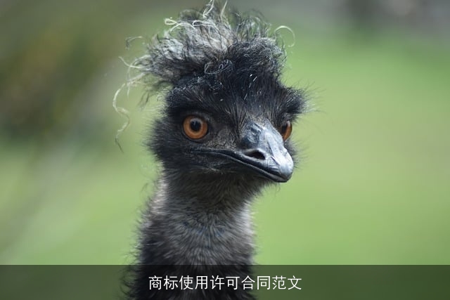 商标使用许可合同范文