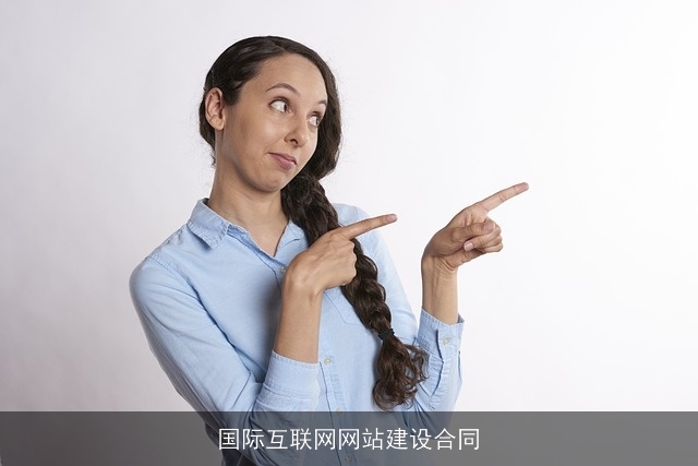 国际互联网网站建设合同