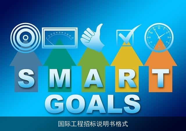 国际工程招标说明书格式