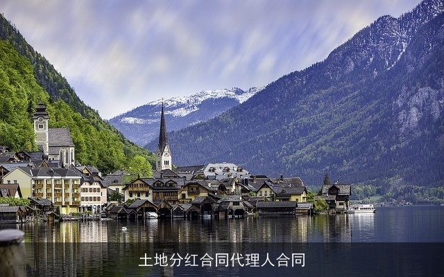 土地分红合同代理人合同