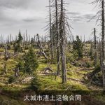 大城市渣土运输合同