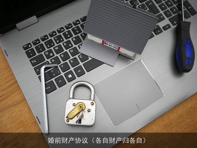 婚前财产协议（各自财产归各自）