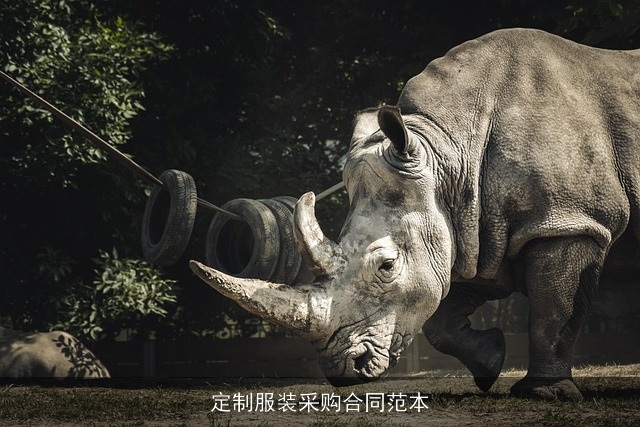 定制服装采购合同范本