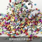 延期申报医药费申请书