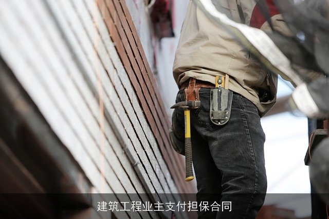建筑工程业主支付担保合同