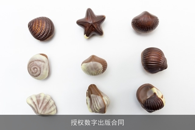 授权数字出版合同