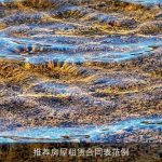 推荐房屋租赁合同表范例