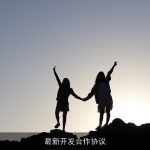 最新开发合作协议