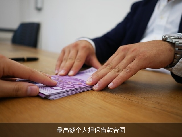 最高额个人担保借款合同