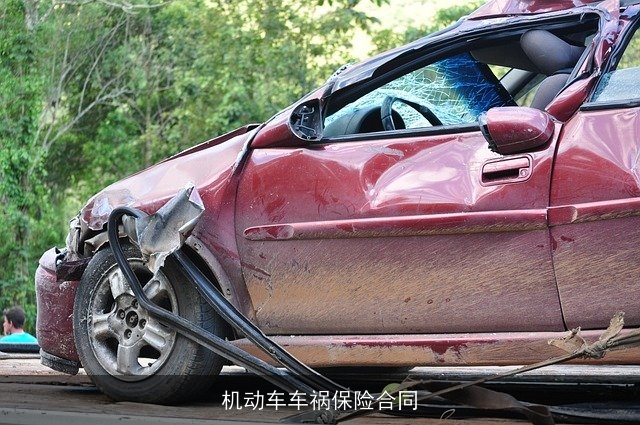 机动车车祸保险合同