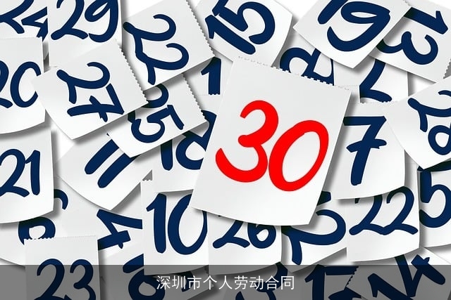 深圳市个人劳动合同