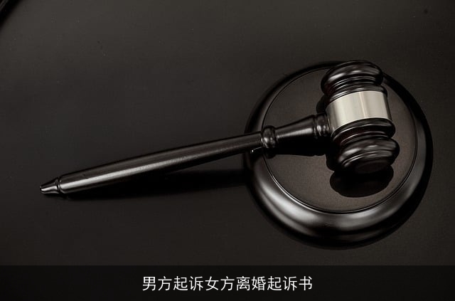男方起诉女方离婚起诉书