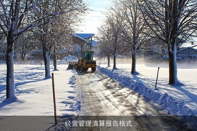 经营管理清算报告格式