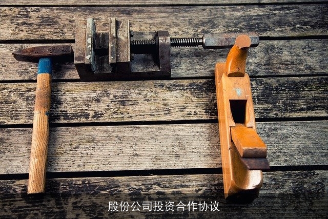 股份公司投资合作协议