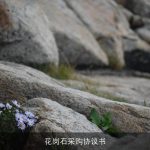 花岗石采购协议书