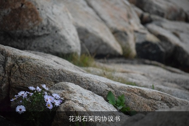 花岗石采购协议书