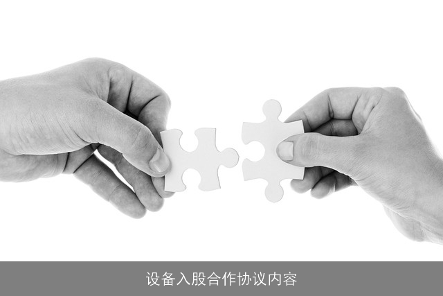 设备入股合作协议内容
