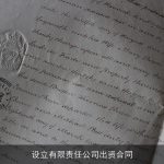 设立有限责任公司出资合同