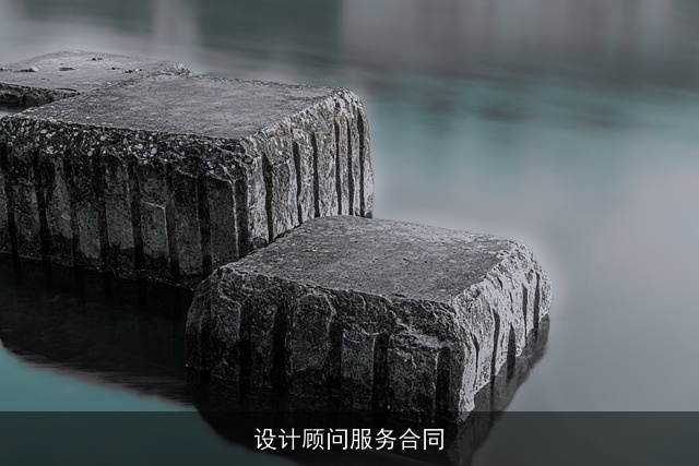 设计顾问服务合同