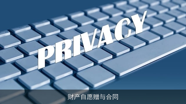 财产自愿赠与合同