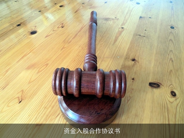 资金入股合作协议书