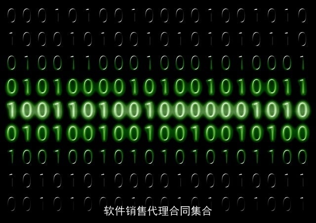 软件销售代理合同集合