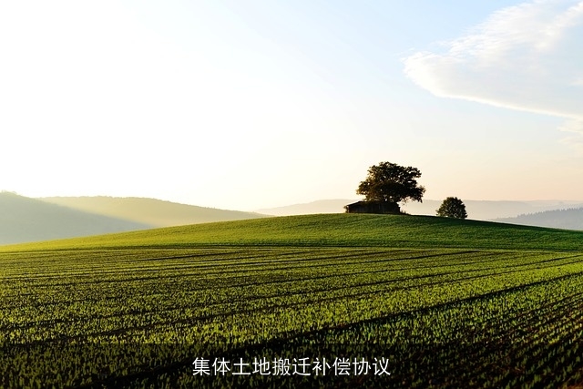 集体土地搬迁补偿协议