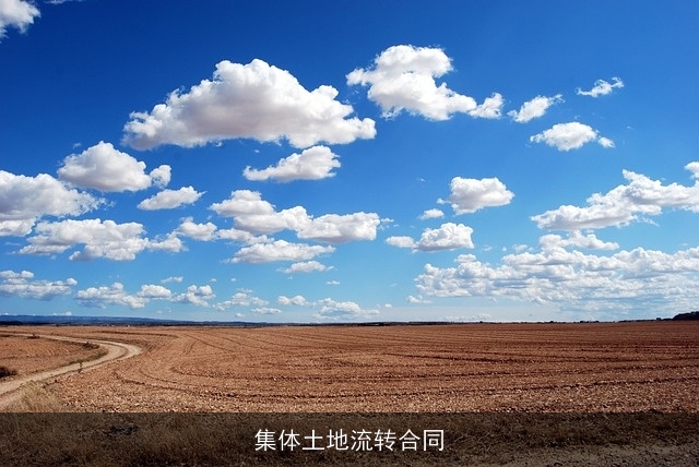 集体土地流转合同