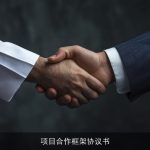 项目合作框架协议书