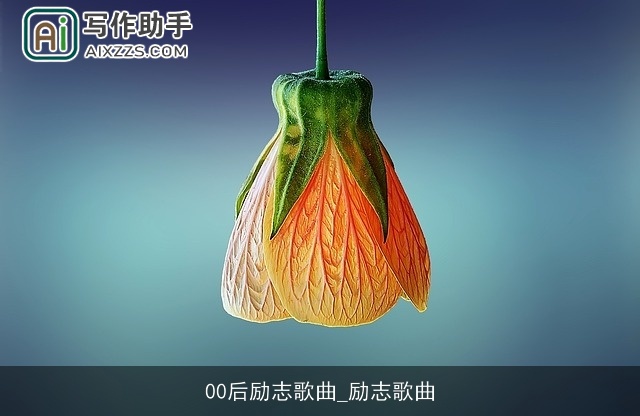 00后励志歌曲_励志歌曲