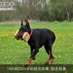 1000到2025字的励志故事_励志故事