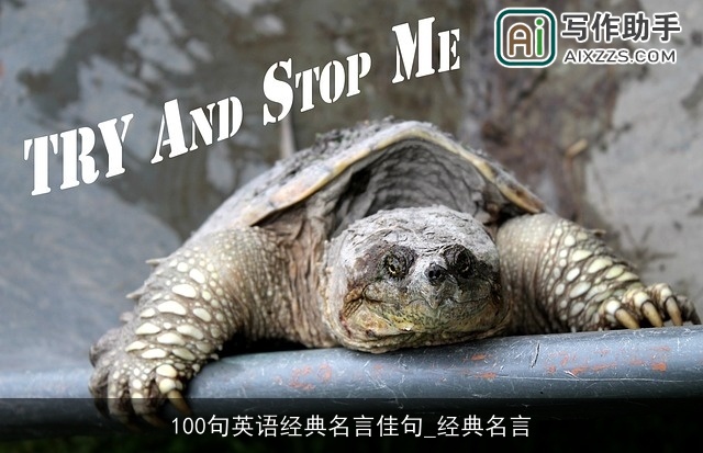 100句英语经典名言佳句_经典名言