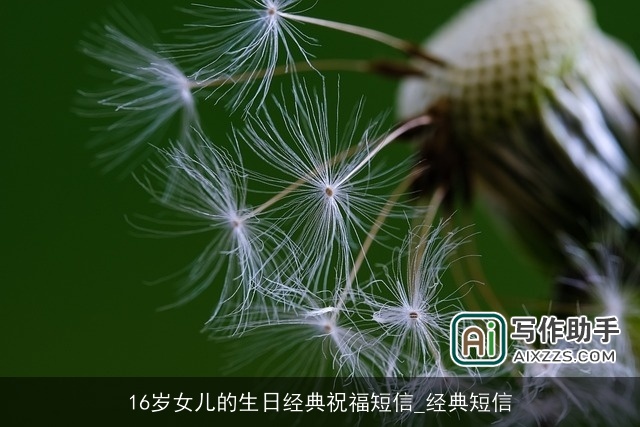 16岁女儿的生日经典祝福短信_经典短信