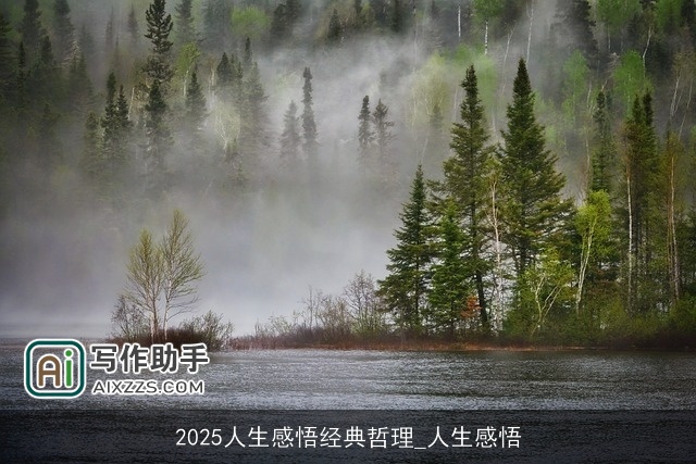 2025人生感悟经典哲理_人生感悟