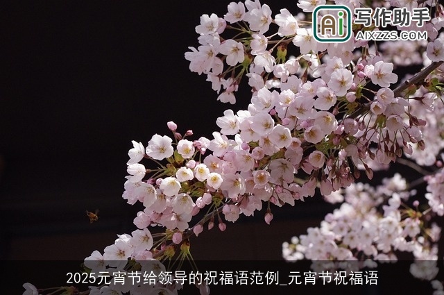 2025元宵节给领导的祝福语范例_元宵节祝福语