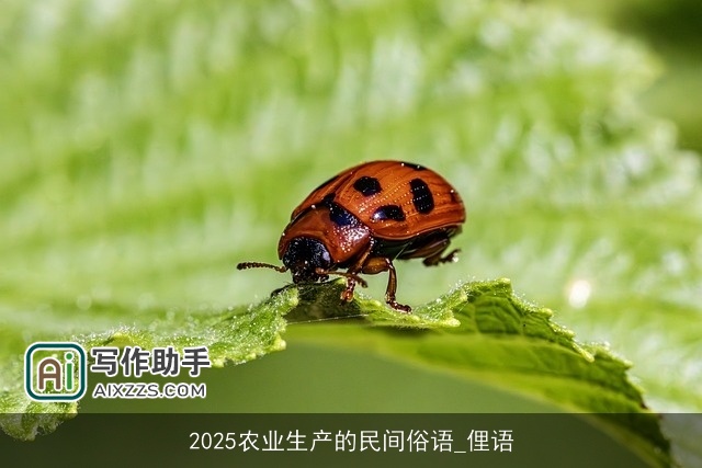 2025农业生产的民间俗语_俚语