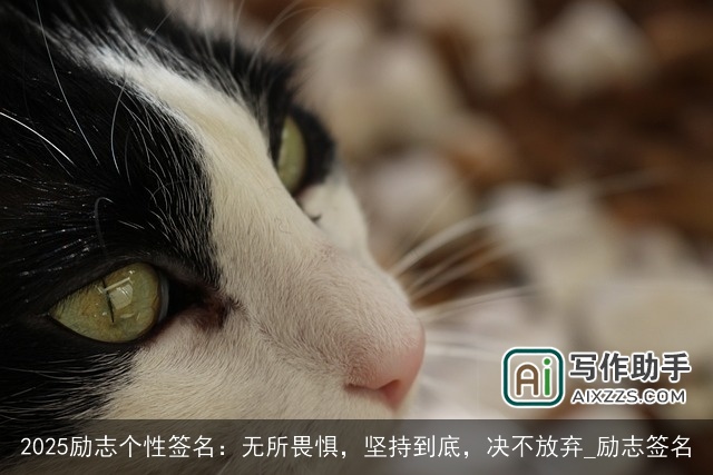 2025励志个性签名：无所畏惧，坚持到底，决不放弃_励志签名