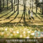 2025年新婚祝福短信_结婚祝福语