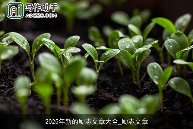 2025年新的励志文章大全_励志文章